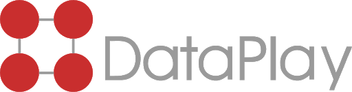 DataPlay logo