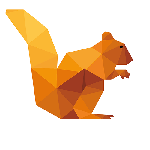 DataSquirrel.ai logo