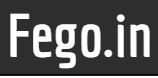 Fego logo