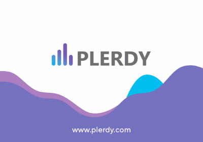 Plerdy logo