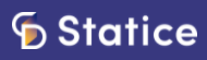 Statice logo