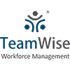 TeamWise logo