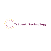 Trident Technology Software Corp logo