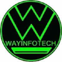 Wayinfotech Solutions logo